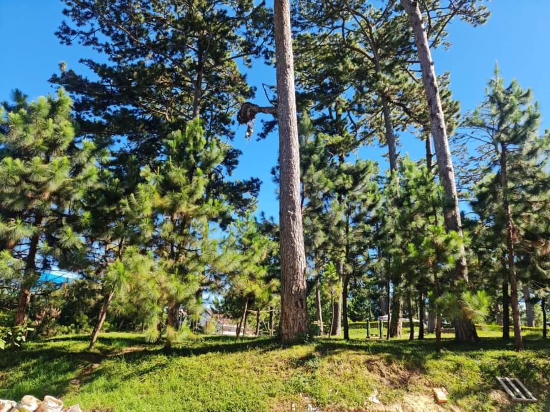 Song Trang Hotell Dalat Eksteriør bilde